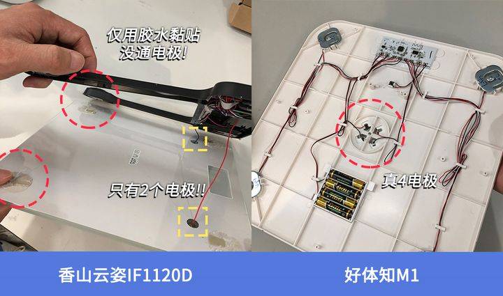 晓！体脂秤真是智商税？怎么选看这一篇就够了!pg电子平台2023年6款体脂秤评测